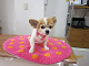 IMG_0351[1]_thumb.png